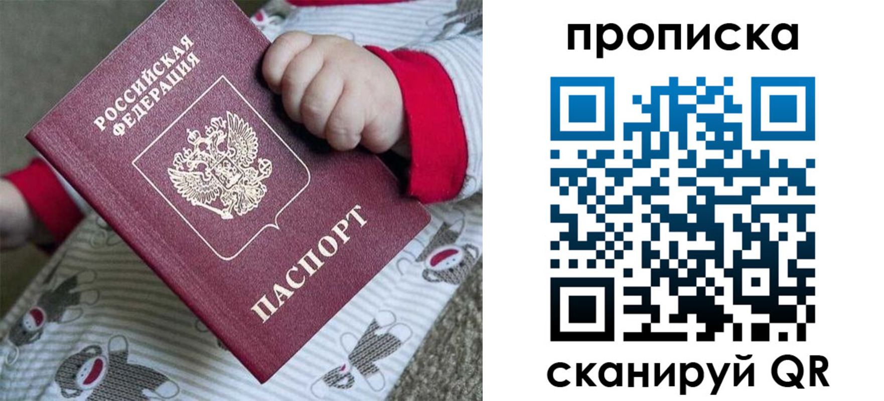прописка 2025 в Покрове